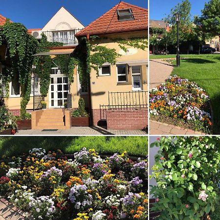 Tulipan Villa Panzio Сольнок Экстерьер фото